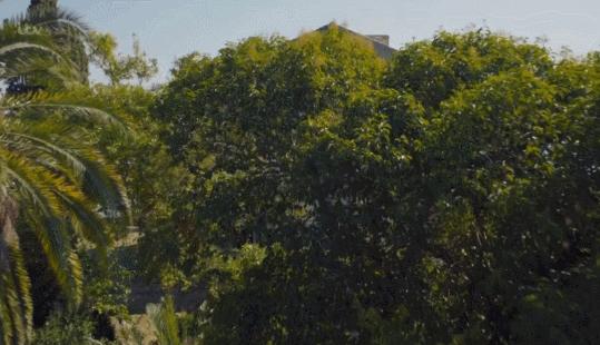 季季超9分电视剧,豆瓣9.5分的良心剧