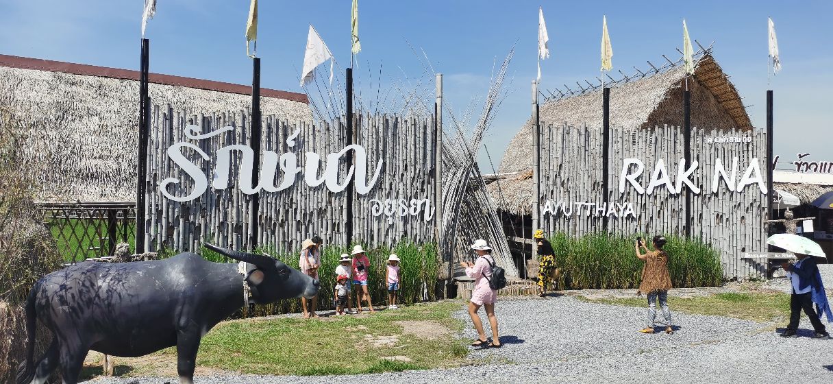 泰国北部的稻田咖啡,泰国大城府稻田咖啡厅