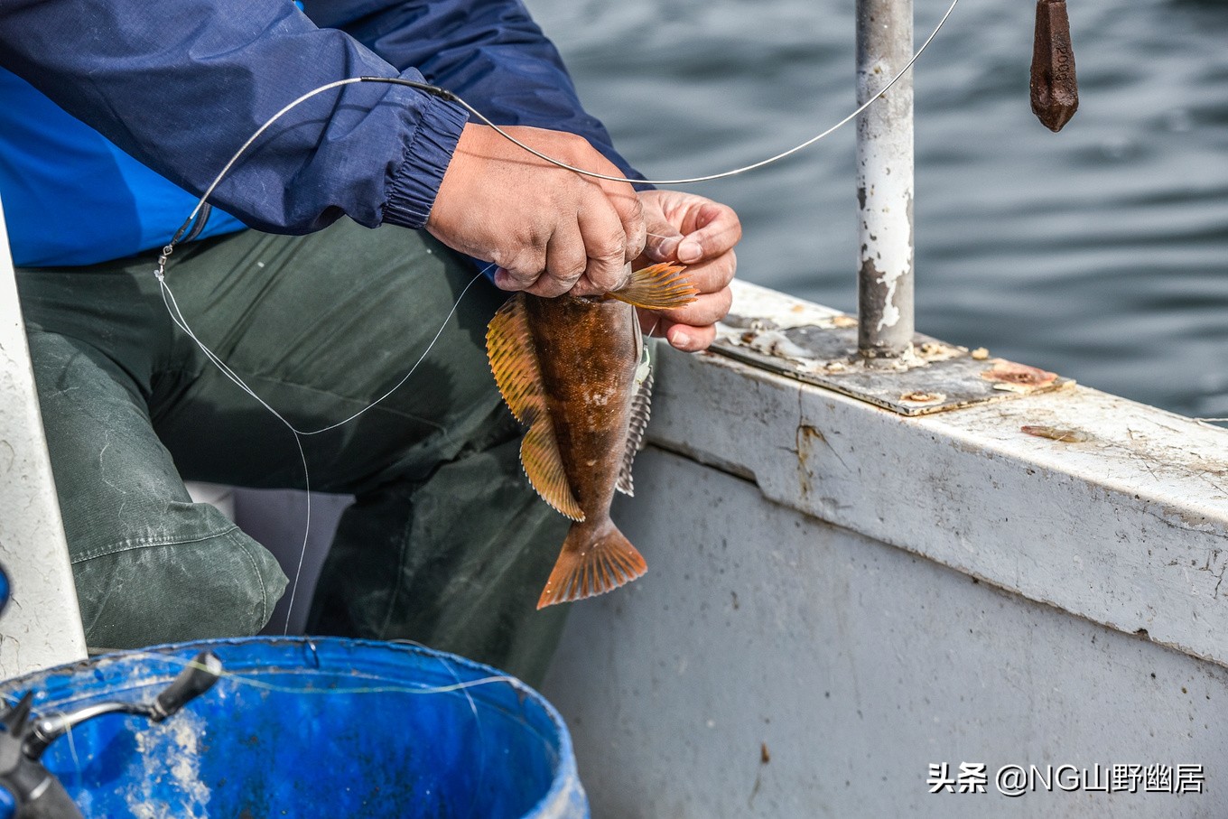 大连海钓黑鲪鱼视频,大连海钓日常巡岸