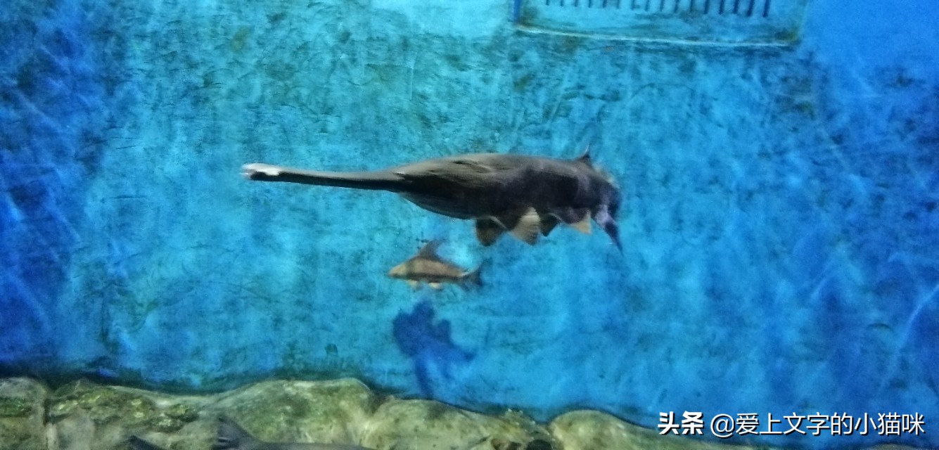 微信怎么别人发信息可以立刻回复,怎么才能自己跟自己发信息