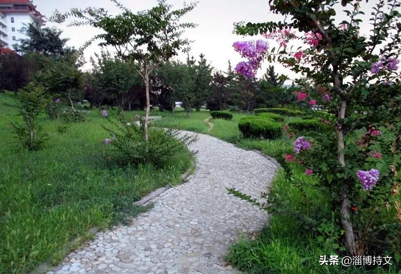 热爱生活从每日跑步开始,跑步让我感受健康和快乐