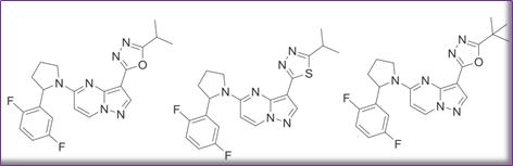 澶氬璺ㄥ浗鑽紒,璺ㄥ浗闆嗗洟鐮斿埗鐨勬姉鐧屾敞灏勫墏
