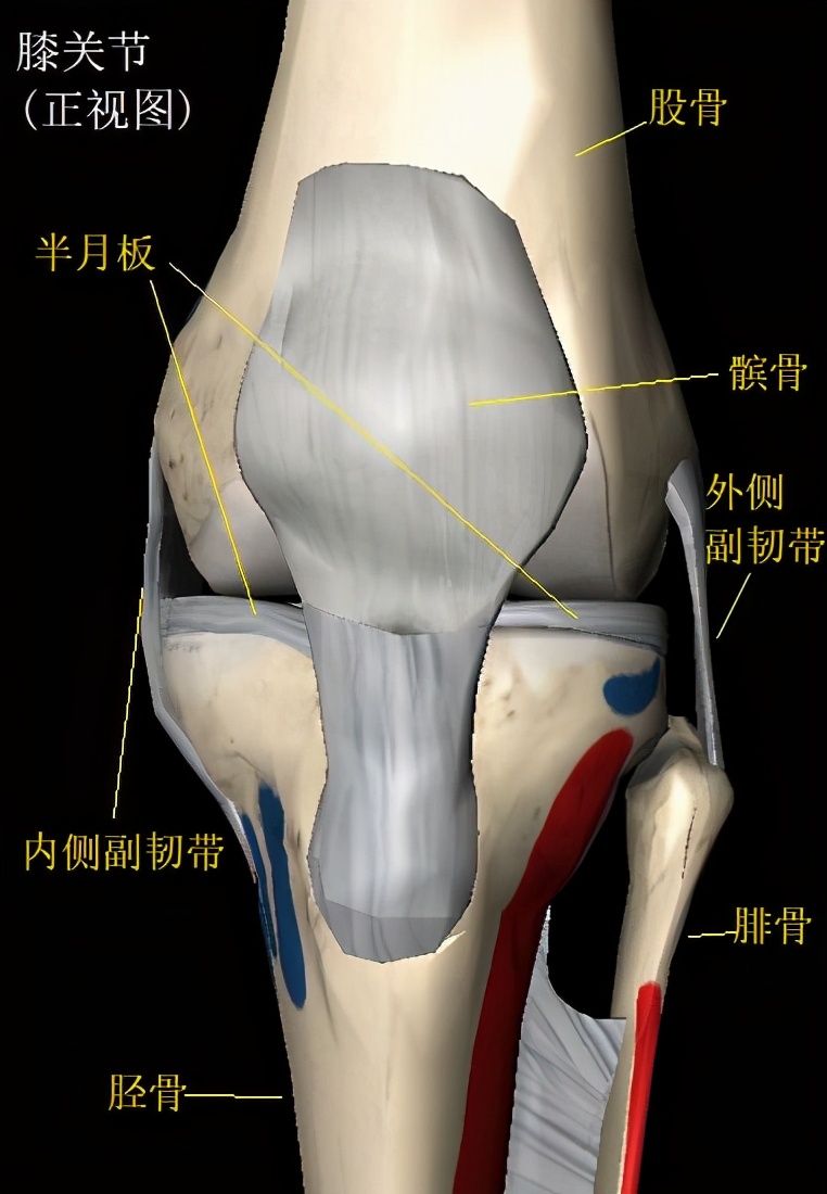 5岁儿童游泳的好处和弊端,游泳对孩子的好处