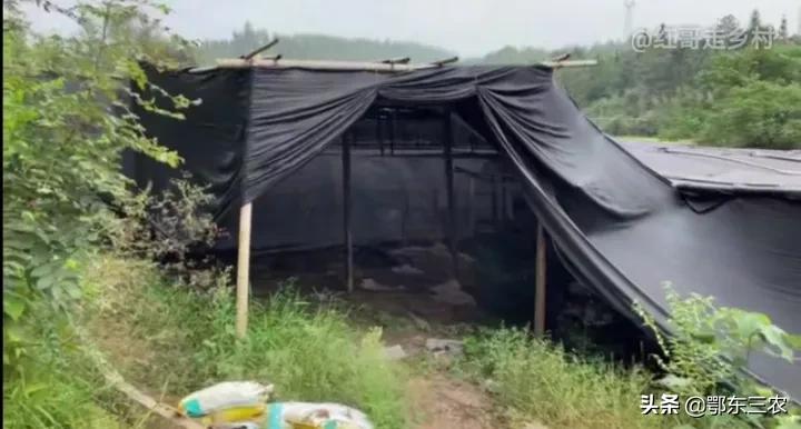 夫妻包56亩地,夫妻俩承包100亩农田