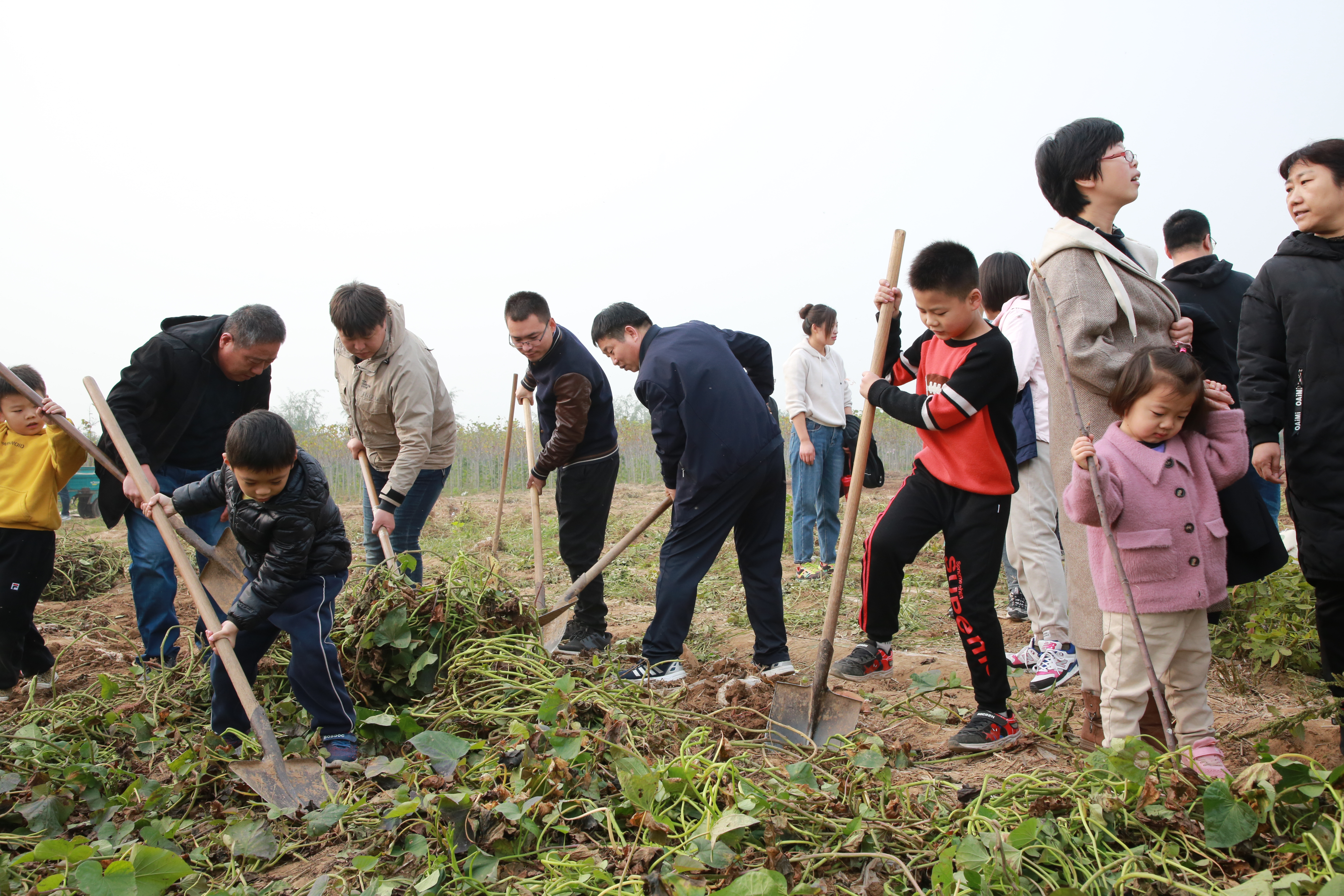 浩宇农庄丛林探险项目都有哪些,安阳殷墟浩宇农庄