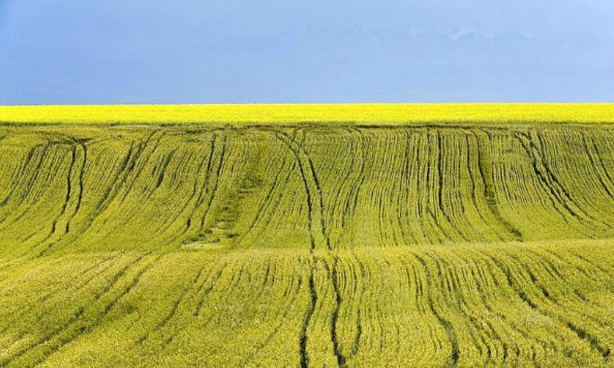 你永远不会体会到*疆新**公路的风情万种，除非你亲自自驾到那里！