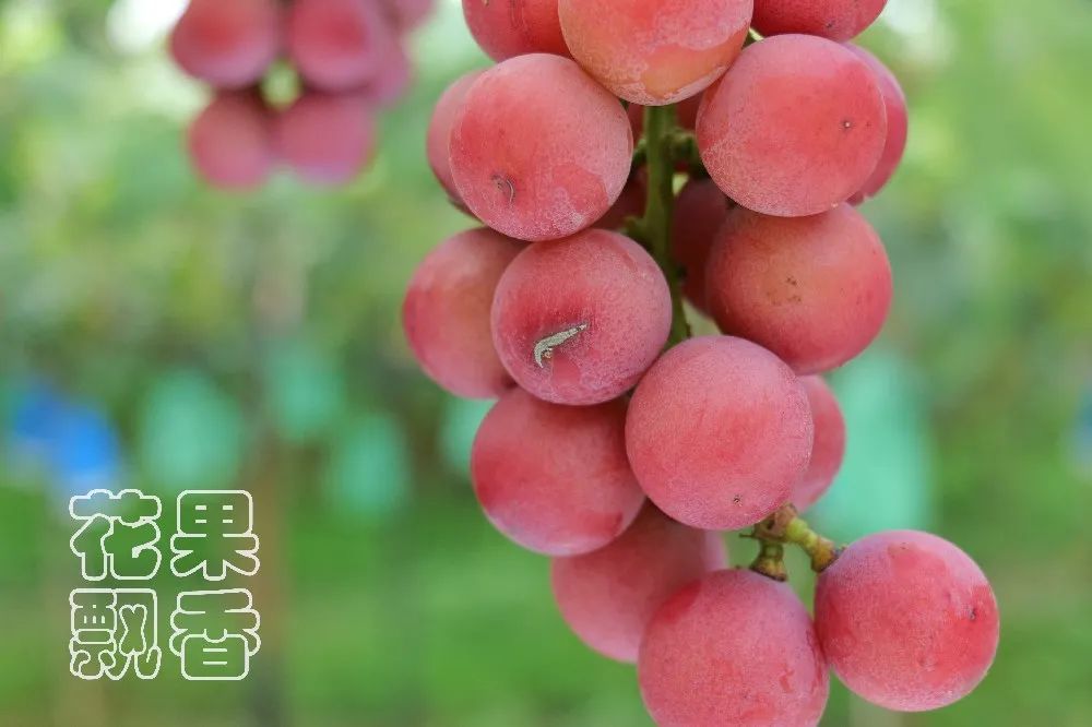 为什么大家都喜欢蹦迪,为什么喜欢跳坑