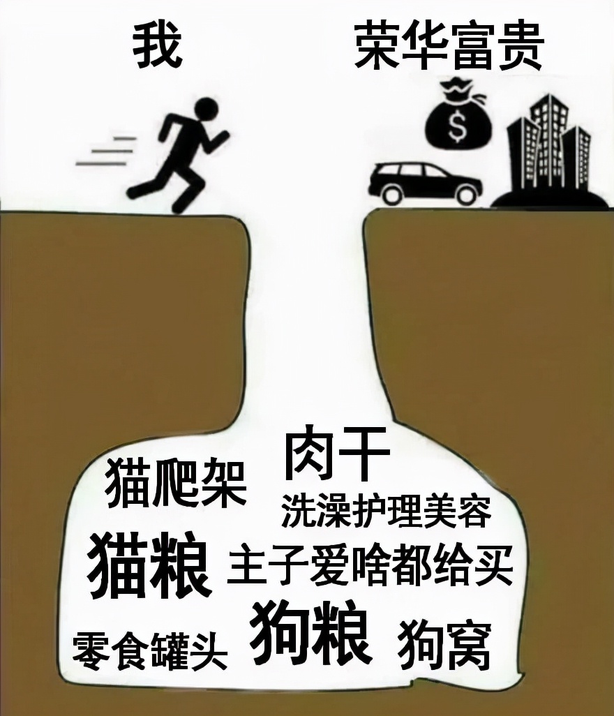 为什么治牙这么贵,为什么看牙病贵