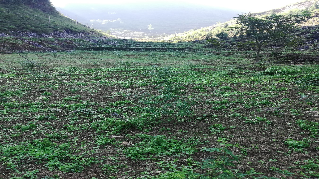 光彩公益慈善事业,光彩公益基金会