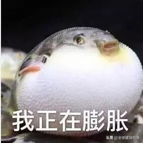 补剂的基本知识和方法,什么牌子的补剂最全面