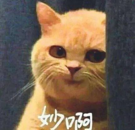 都说房子不好卖可是成交量在哪里,长春的房子为啥难卖