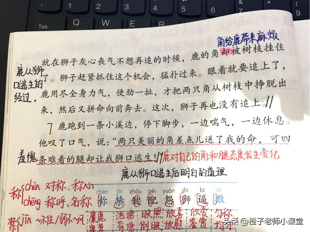 三年级语文7课鹿角和鹿腿,三年级下册鹿角和鹿腿感悟
