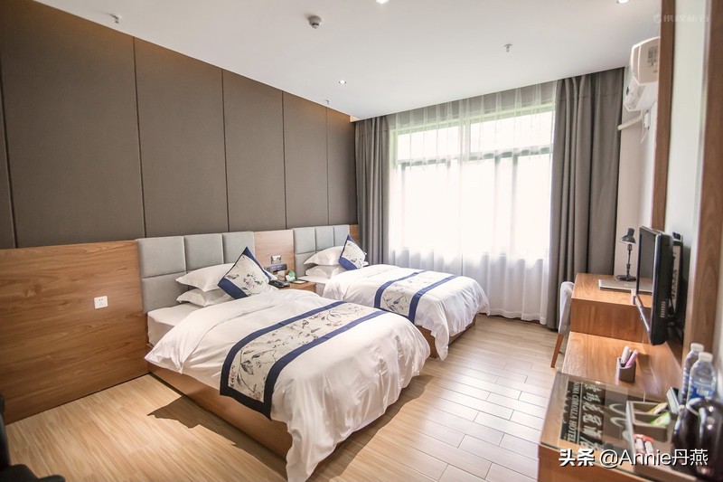 百里杜鹃花开如海,百里杜鹃百里盛开