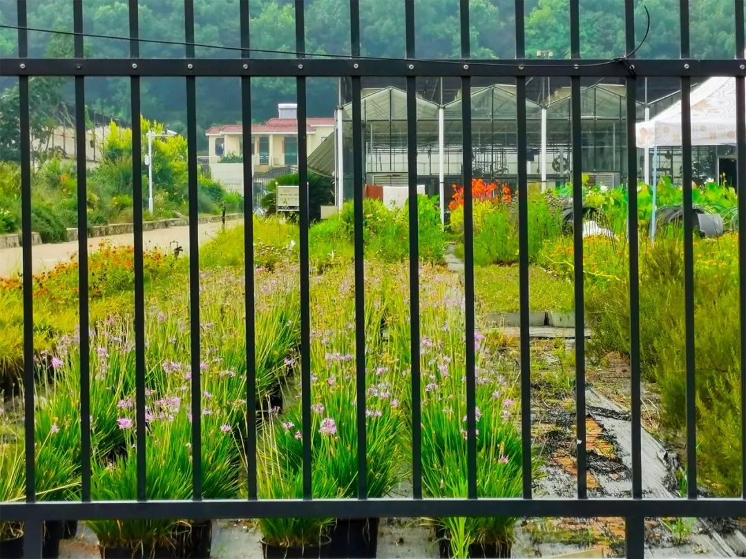 全国第一！华中农业大学真是太太太牛了