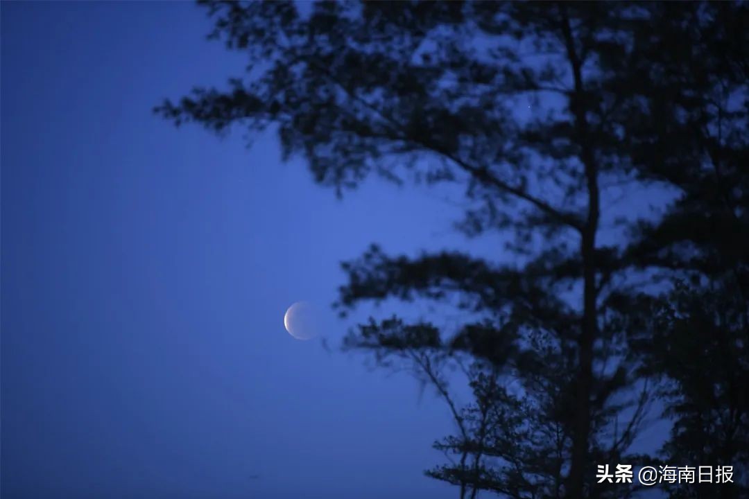 海南新闻5月21日,海南5月新闻