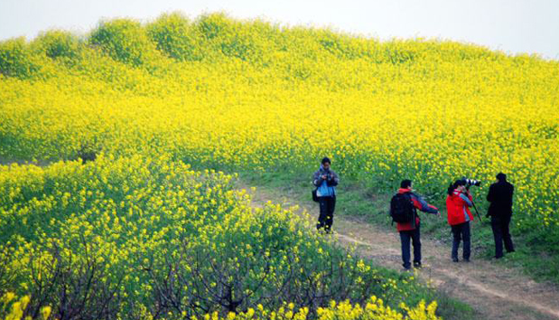 诗友原创诗歌分享,五月的唯美诗词散文