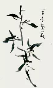 兰花的画法国画,兰花的画法步骤动画