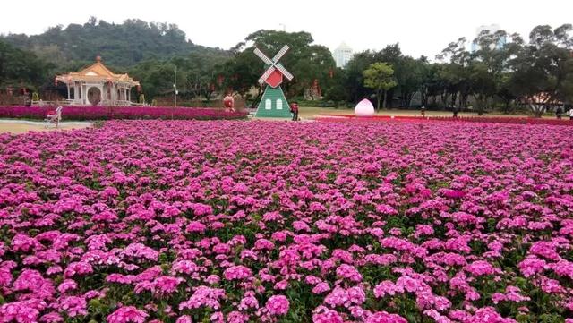 你眼中的珠海城市面貌,怎么评价珠海这个城市