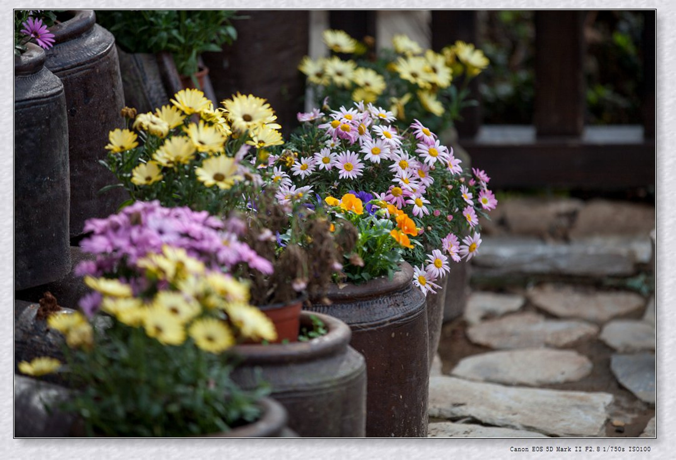 常州旅游东方盐湖城,骆驼之旅视频