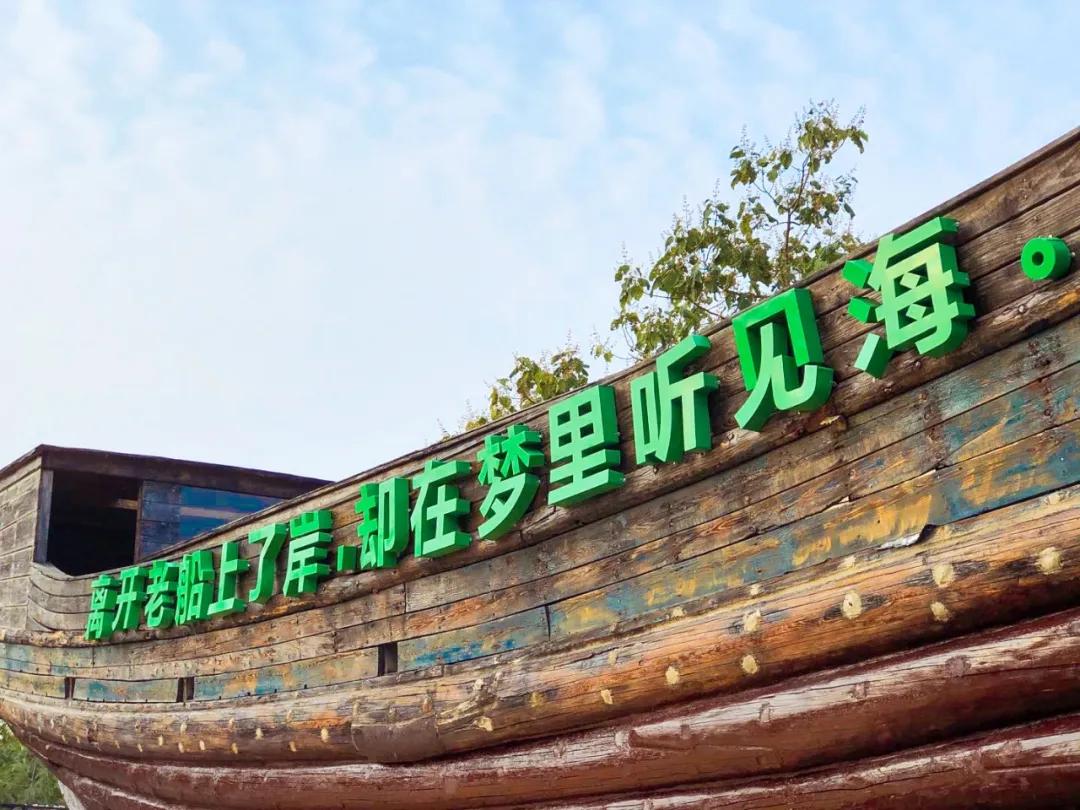 生活在日照是什么感觉,生活在日照就是幸福征文800字