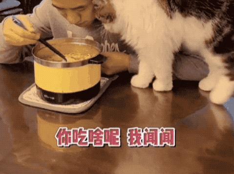 日本小哥吃零食,日本小哥吃垃圾食品