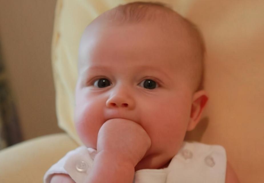 宝宝见什么东西都爱啃是什么原因,宝宝见啥就啃