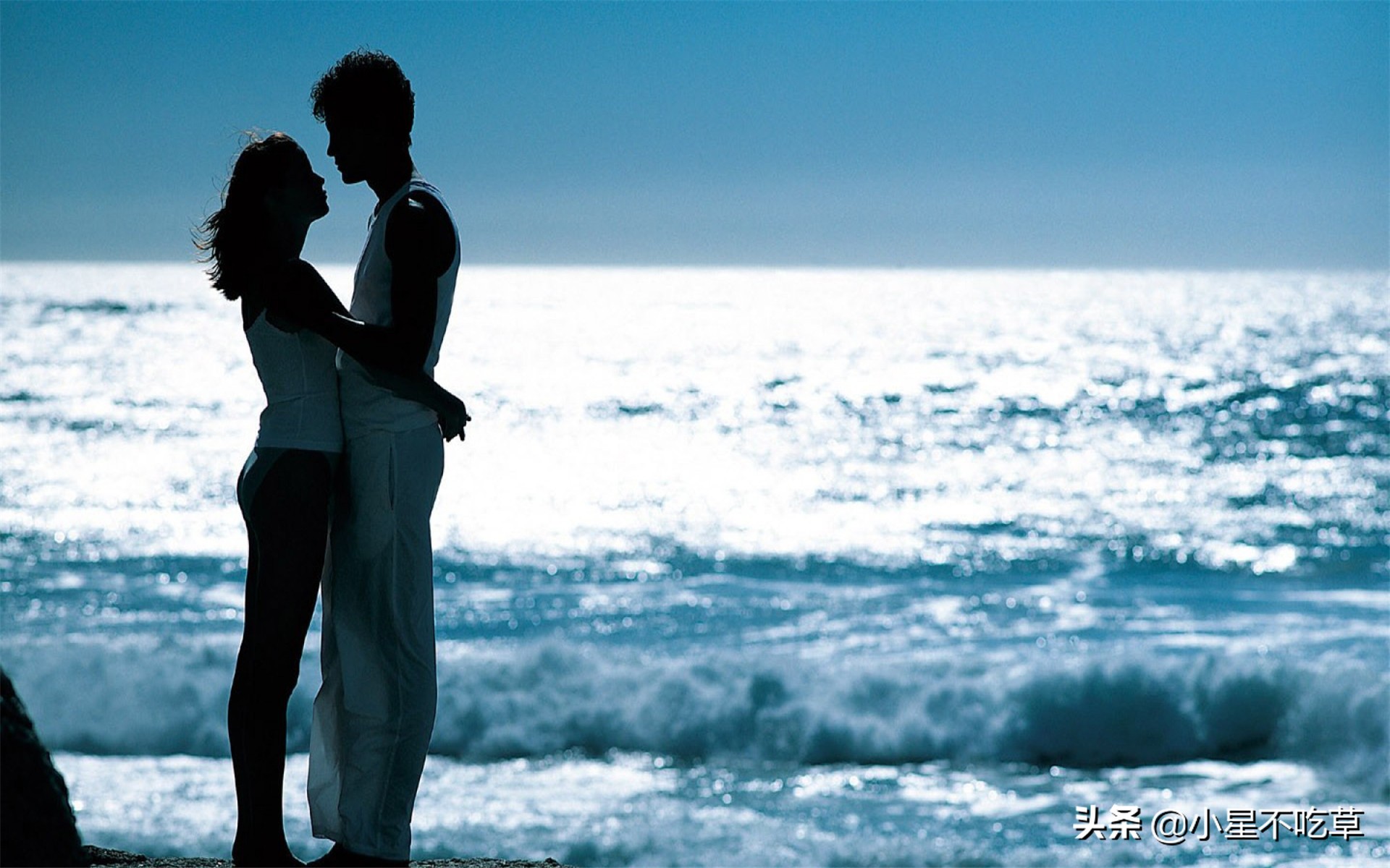 恋爱中忠于感情的星座,恋爱中最专一且深情的星座