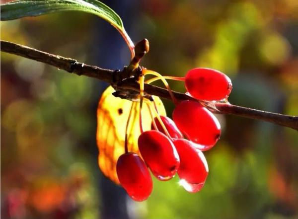 在南师生活真的很难吗,南师生活