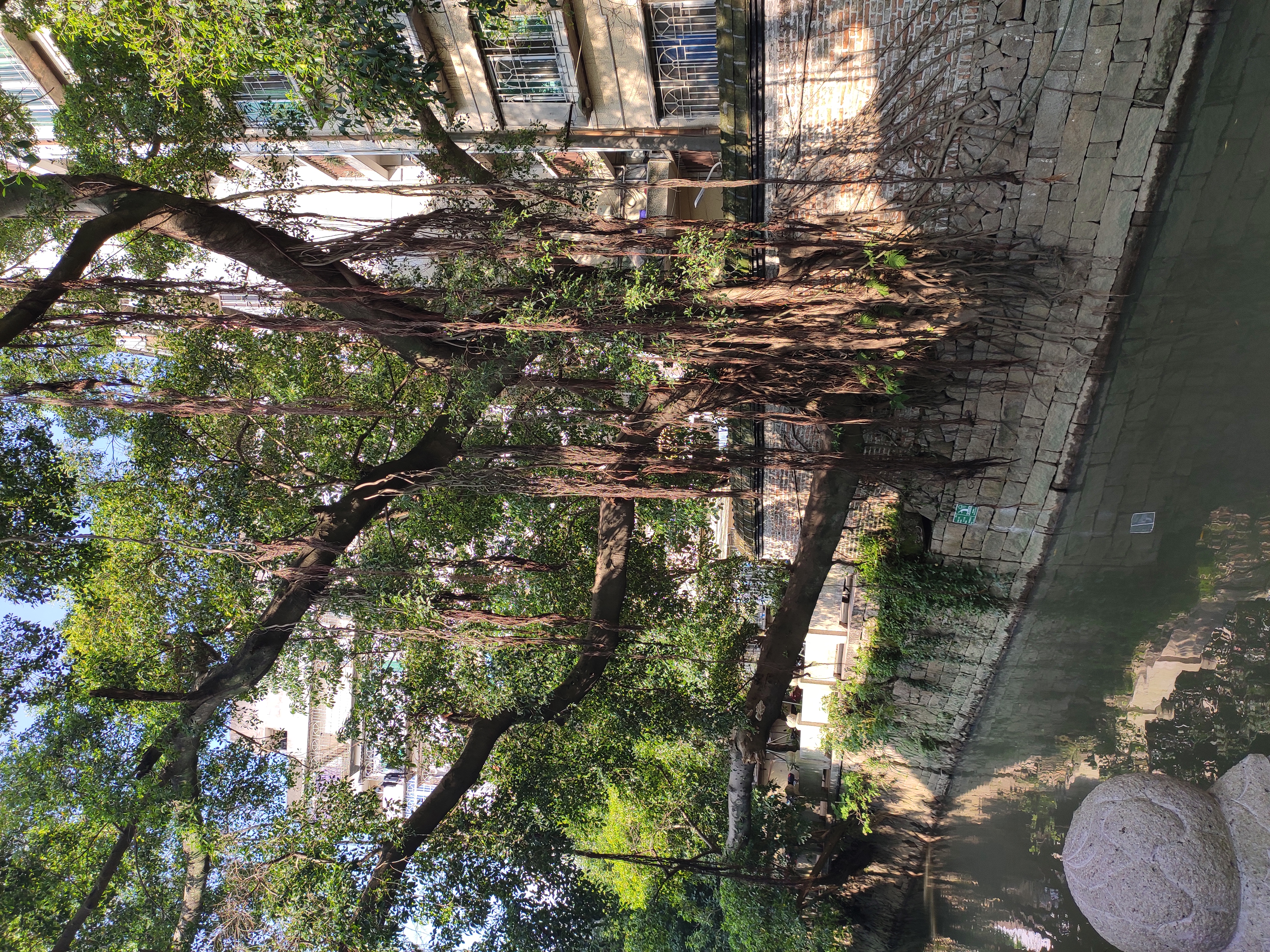 又是暑假研学作业，找个少人，少花钱的地方去吧