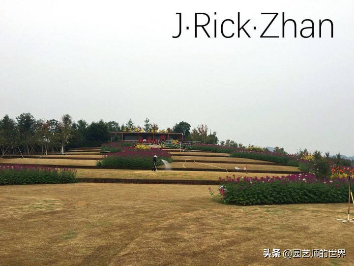 适合北方庭院种植的低矮草坪,家庭庭院怎样混搭种植草坪和蔬菜