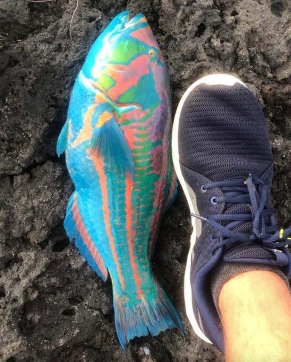 十五张罕见照片神奇而有趣的世界,世界上最有趣的30张照片