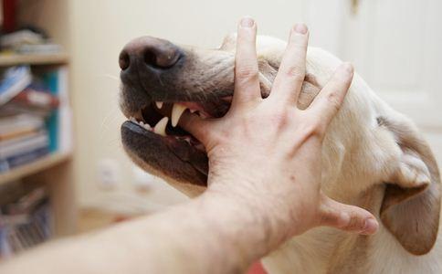 判断狗狗有没有狂犬病的三种方法,有狂犬病毒的狗狗有什么表现