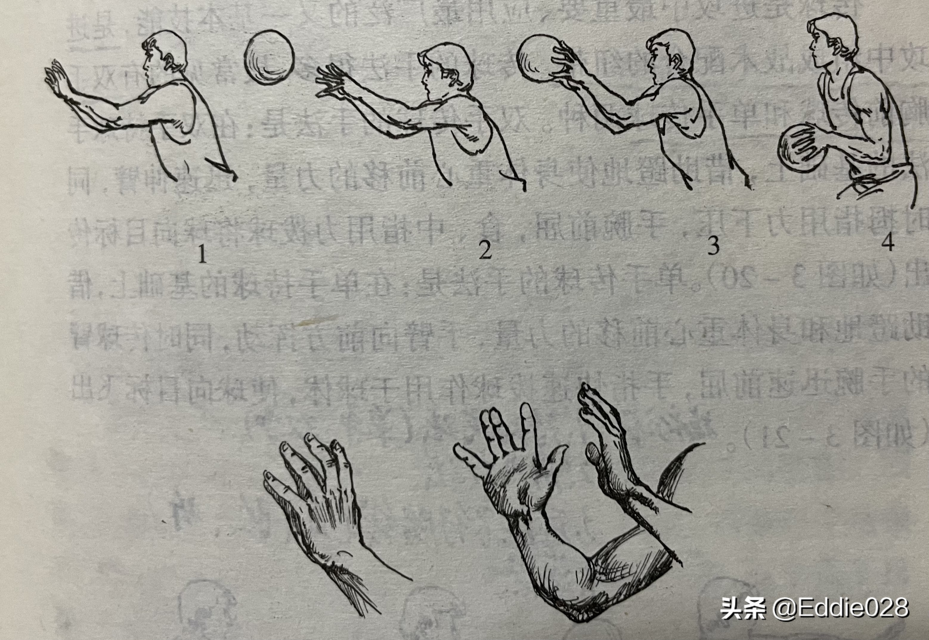 零基础篮球训练知识分享三（持球、传接球、投篮、运球）