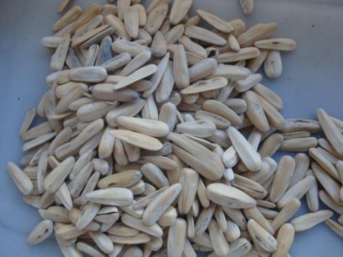 爱嗑瓜子的朋友有口福了，六款炒瓜子做法，口味各不相同