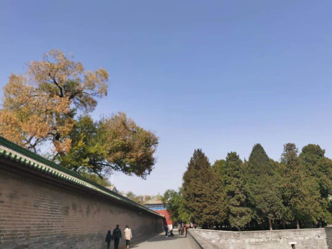 天坛和地坛区别,天坛对对碰桌游