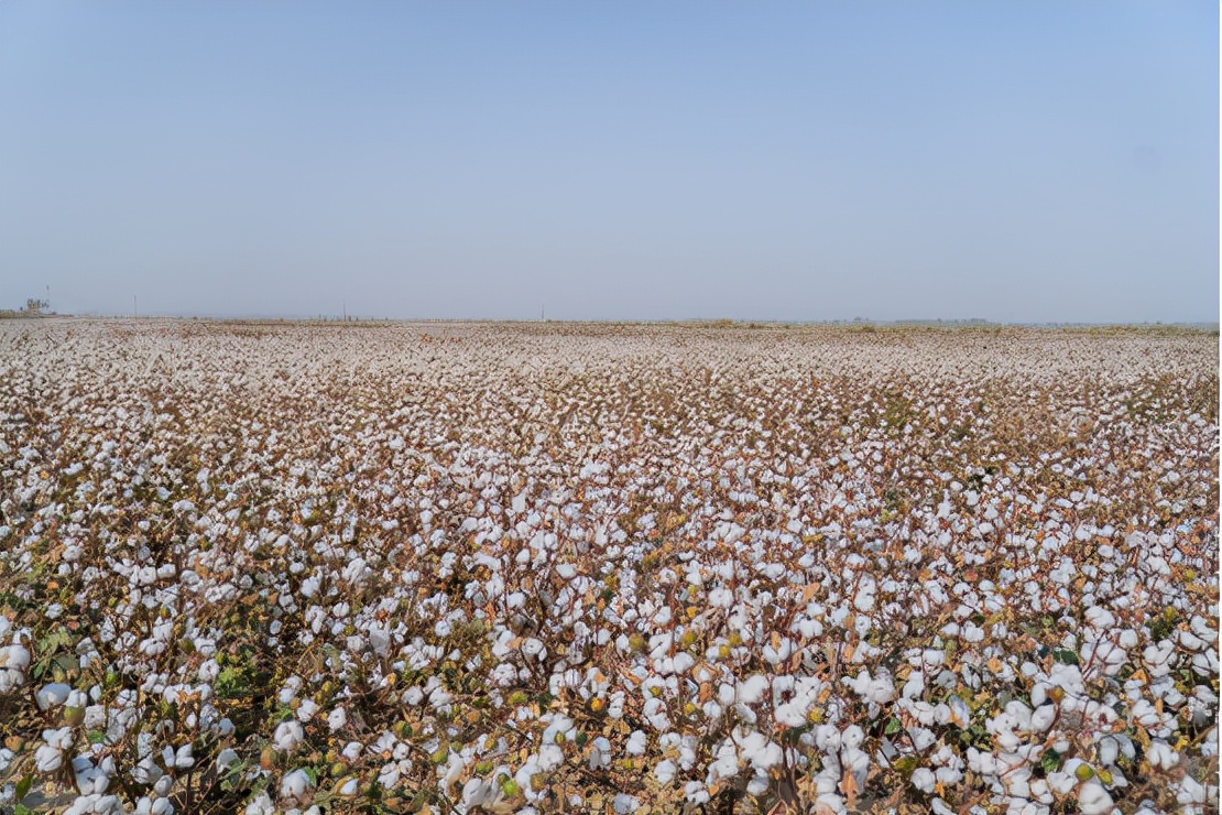 达人西游库尔勒,达人西游新疆