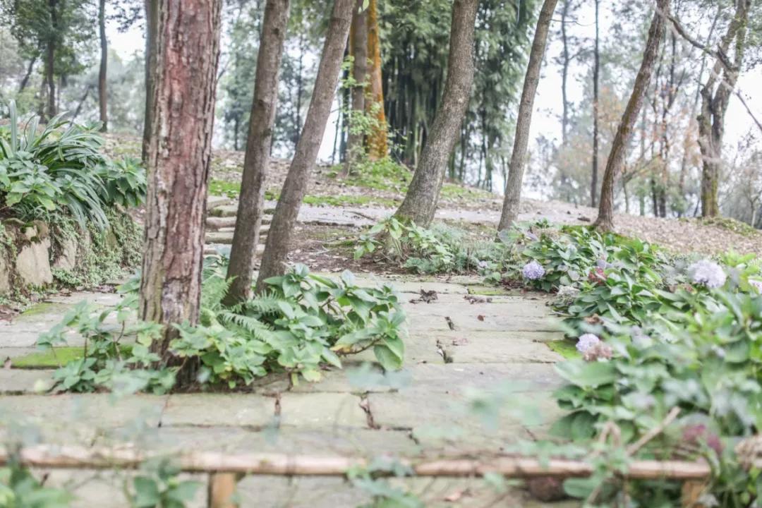 巴南又能耍又有吃的,重庆有什么美食巴南区