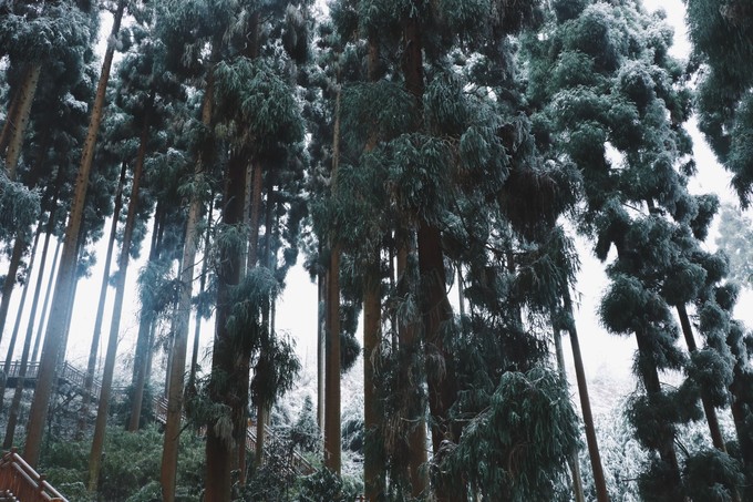 峨眉山七里坪最好的温泉排名,冬季峨眉山七里坪旅游攻略