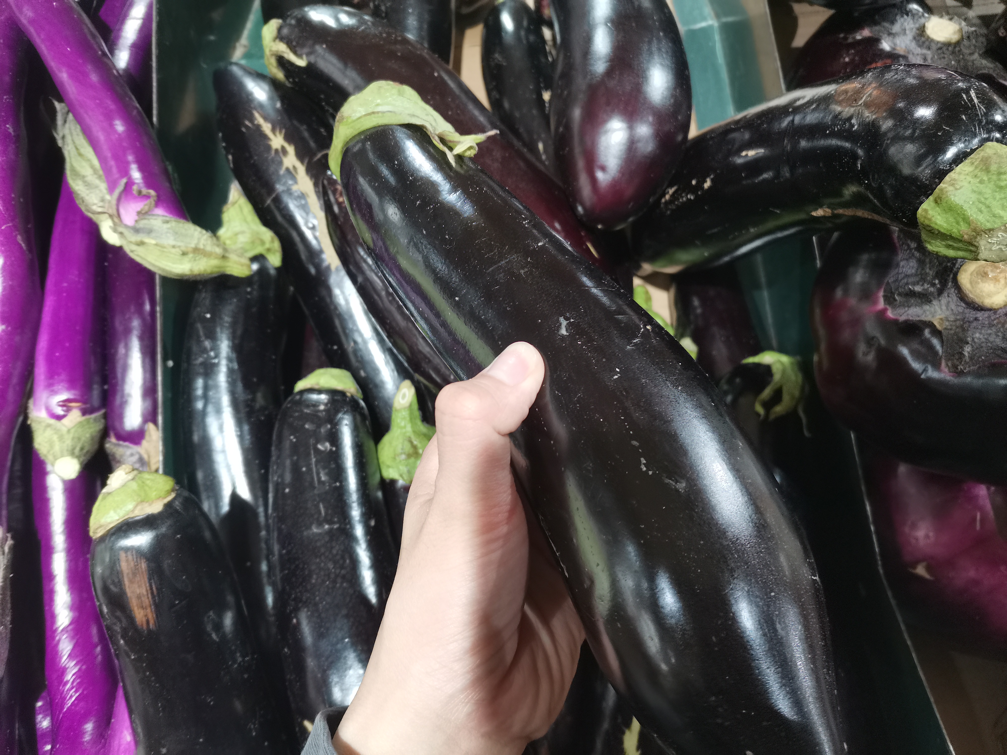 茄子有几种怎么区分,买茄子颜色深好还是浅好