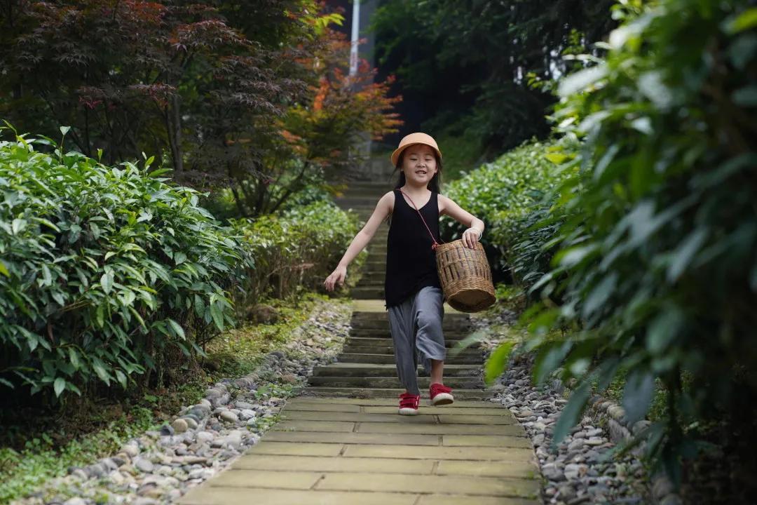 峨眉十大网红打卡地,峨眉网红打卡景点