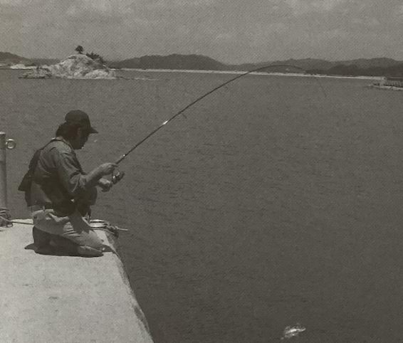 路亚钓黑鲷入门教程,路亚钓黑鲷的方法与技巧