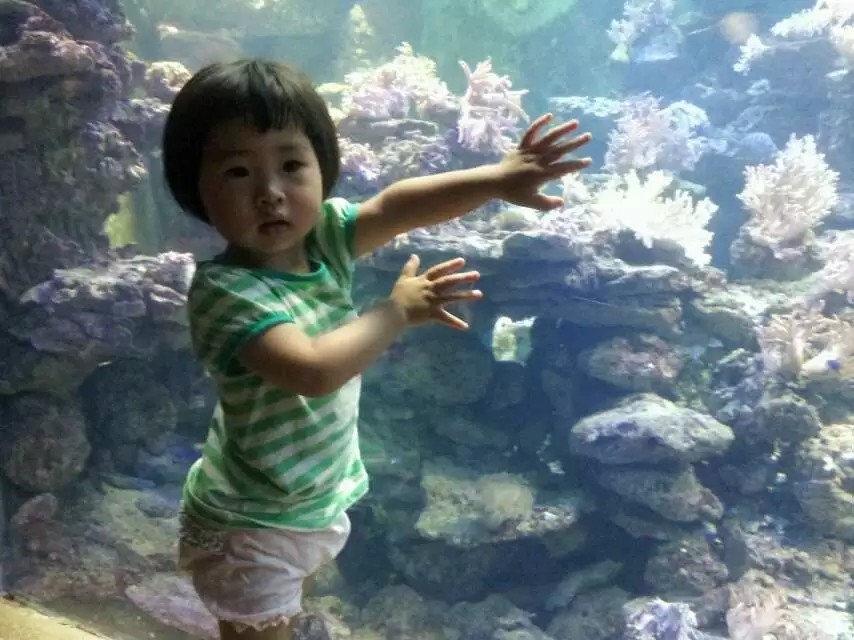 带着孙女去海边,奶奶带着小孙女在北海涠洲岛玩