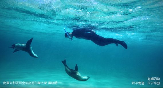 「求真」消费吓退国人的澳大利亚,竟然适合春节旅行?