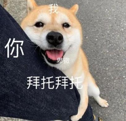 最好吃的月饼排第一 (最好吃的月饼在哪)