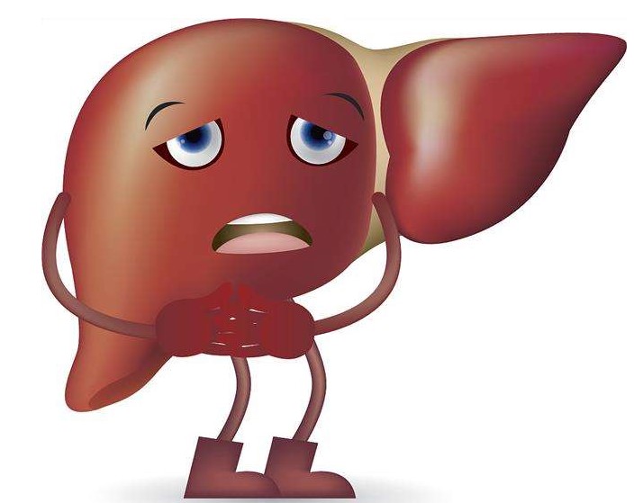 器官最怕你做的事情,器官最怕的东西顺口溜