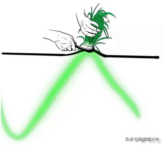 怎么用量比判断真突破还是假突破,股票月线假突破和真突破的区别