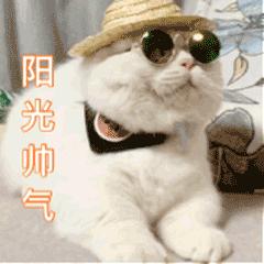 启用了,启用读音