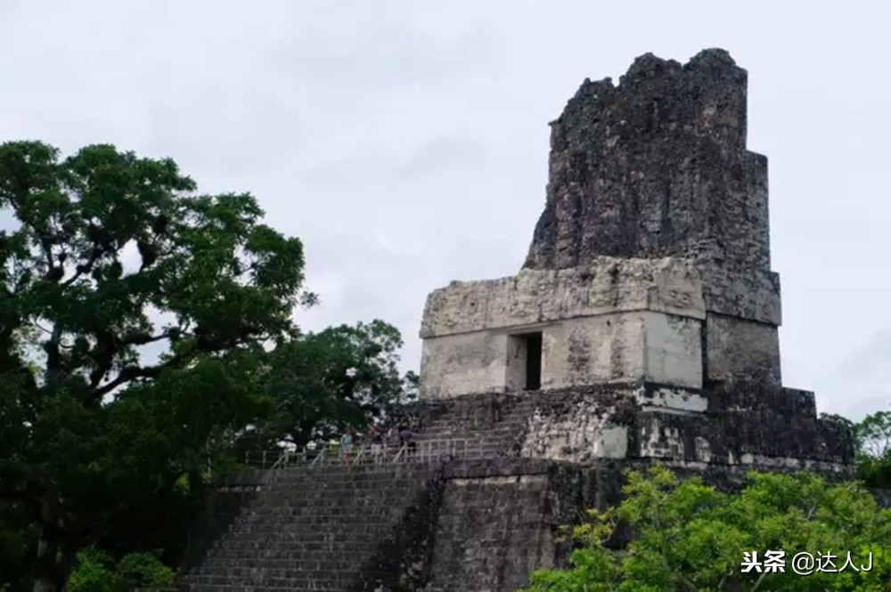 小天绝地求生,小天蜘蛛