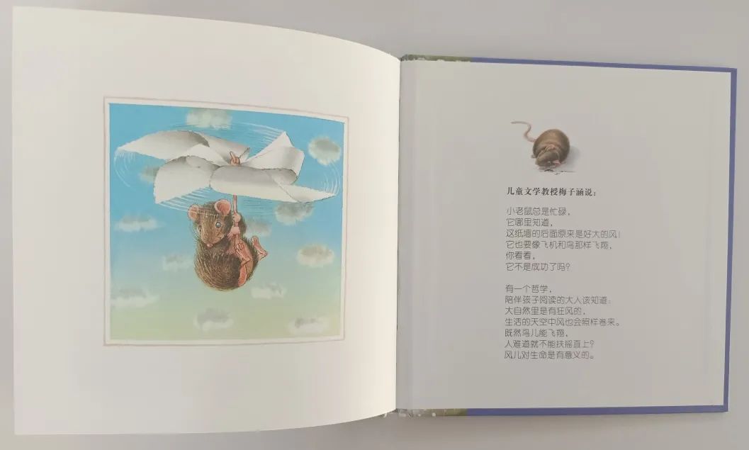 无字绘本老鼠,绘本懒惰小老鼠是怎么介绍的