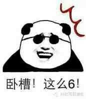 表示震惊的熊猫头表情包,熊猫头小眼睛震惊表情包